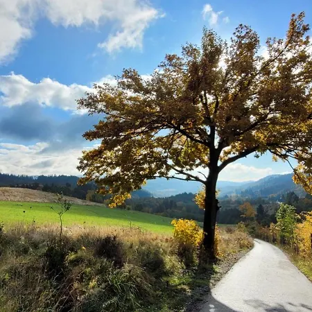 Niebieski Pod Borowa Gora *