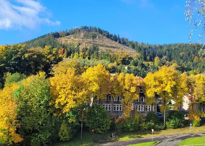 Niebieski Pod Borowa Gora *