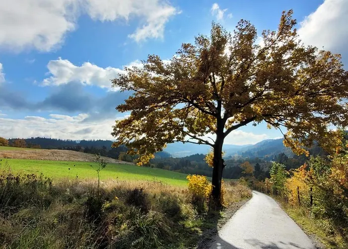 Niebieski Pod Borowa Gora *